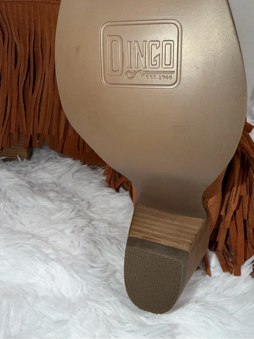 Dingo Women's Brown Suede Tapadero Snip Toe Bootie with Fringe